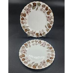 2 Vtg Linden Lea Royal Albert Bone China England Desert Plate